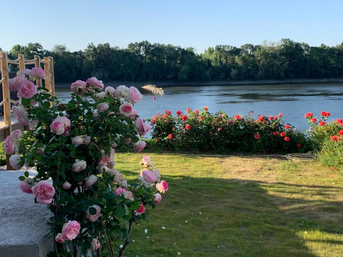 Maisons Au Bord De La Loire - Maison Paradis & Maison Bonheur Au 248 Riverside Le Fosse-Neuf Buitenkant foto